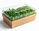 Firefly_Sunshine Fuel Pack — a nutritious combo of Sunflower, Green Pea, and Green Gram micro 606542.jpg